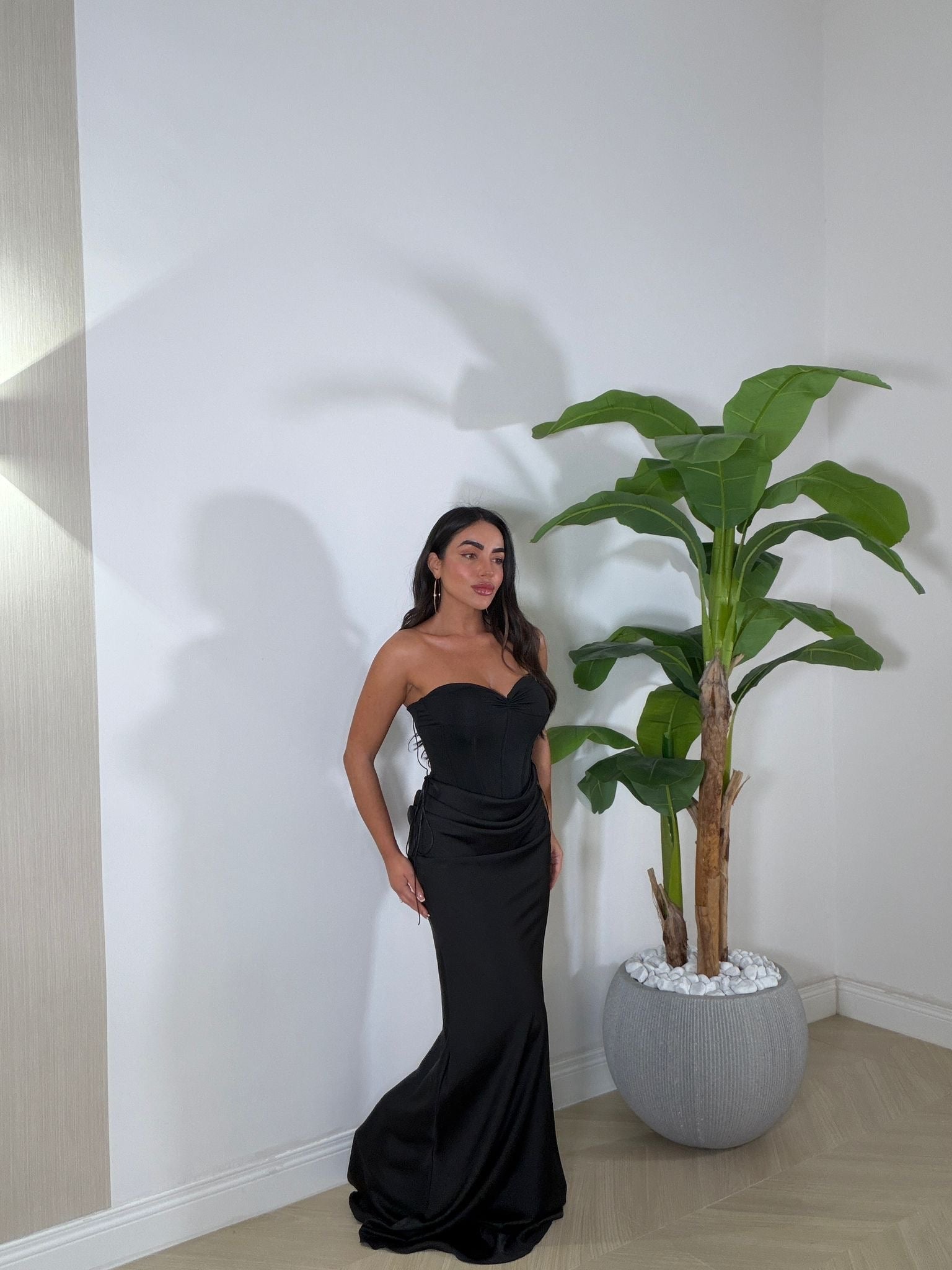 Dress Jacobs