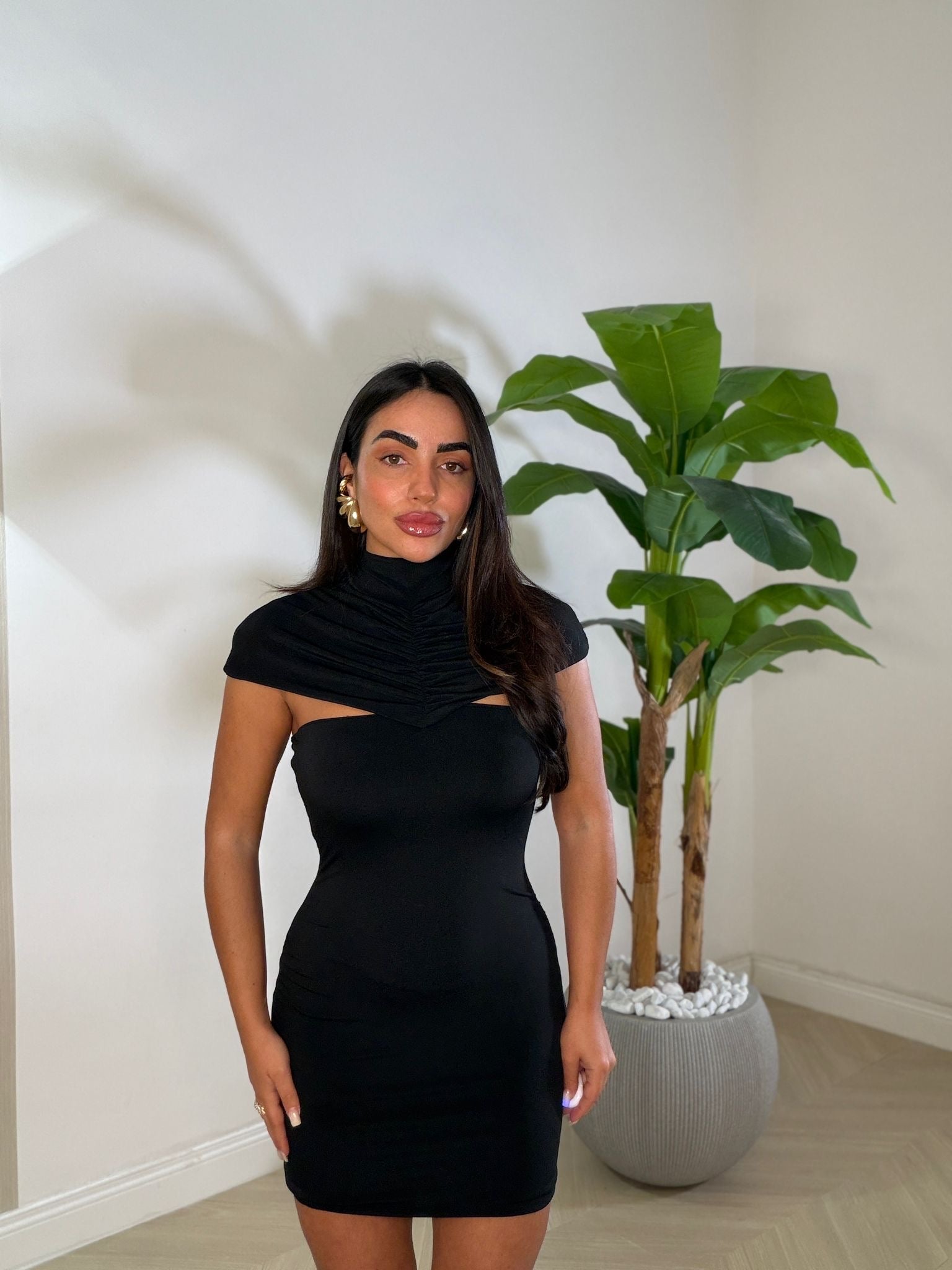 Dress Felicity