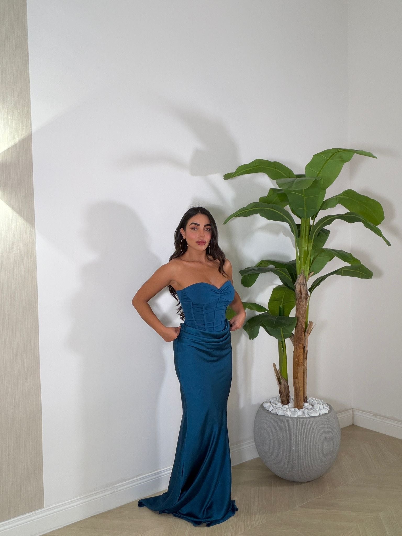 Dress Jacobs